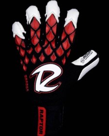 تصویر raptor dragon 