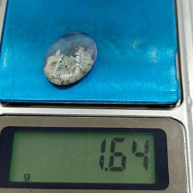 تصویر نگین شجر طبیعی کد ۱۲۰۸۳ 