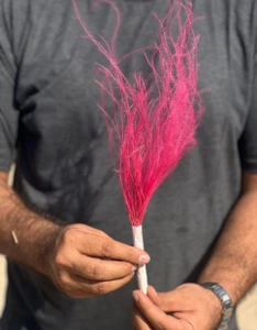 تصویر فروشگاه گلستونک