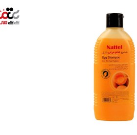 تصویر شامپو تخم مرغی 200 گرم ناتل Egg Shampoo For All Hair Types 200 g Nattel