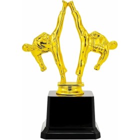 تصویر تندیس کاراته 