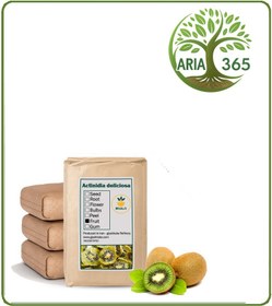 تصویر میوه کیوی خشک فله 