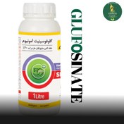 تصویر گلوفوسینیت آمونیوم 