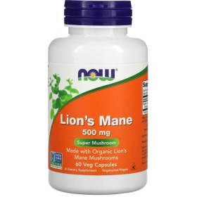 تصویر قارچ یال شیر ناو Lions Mane NOW