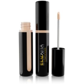 تصویر کانسیلر مایع الیزکیتا شماره 02 ELIZKITA ELIZKITA liquid concealer No. 02 ELIZKITA