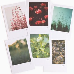 تصویر دسته گل‌کارت بزرگ 