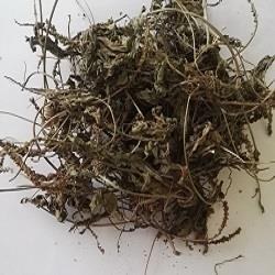 تصویر برگ بارهنگ بسته 100 گرمی