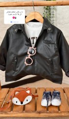 تصویر کت چرک 