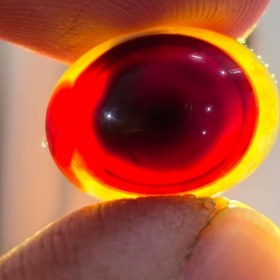 تصویر باباقوری زیبا خاص کمیاب. 