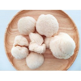 تصویر پودر قارچ یال شیر 