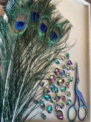 تصویر پر طاووس 