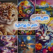 تصویر نقاشی الماسی بزرگسال شب پرستاره ون گوگ سایز ۵ 