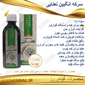 تصویر سرکه انگبین نعنایی 200 میلی لیتر دکتر خیر اندیش 