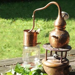 تصویر عرقیات طبیعی 