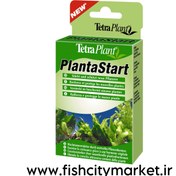 تصویر پلنت استارت قرصی تترا 