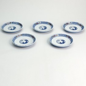 تصویر پیش دست آریتا 