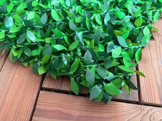 تصویر فنس برگ ریحون عرض 1.5 متر - 6 متر مربع 