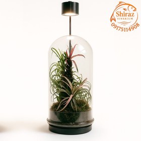 تصویر تراریوم مدل t514 