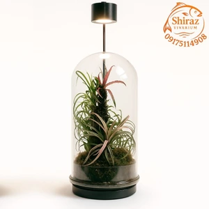 تصویر فروشگاه شیراز ویواریوم