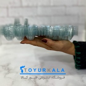 تصویر پک 780 تایی بسته بندی تخم بلدرچین 