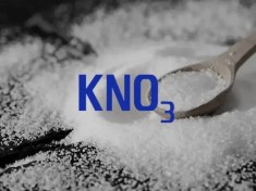 تصویر کود خشک نیترات پتاسیم KNO3 Potassium Nitrate 