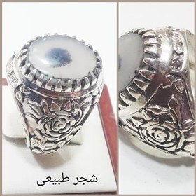 تصویر شجر طبیعی زیبا 