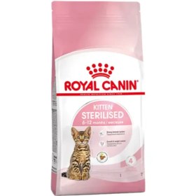 تصویر غذای خشک بچه گربه کیتن استرلایزد رویال کنین (Royal canin kitten Sterilised dry food) وزن 2 کیلوگرم Royal canin kitten Sterilised dry food 2kg