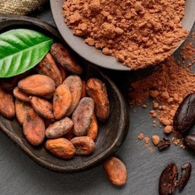 تصویر دانه کاکائو خام (100 گرم) بدون حرارت 