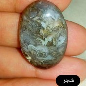 تصویر نگین شجر 