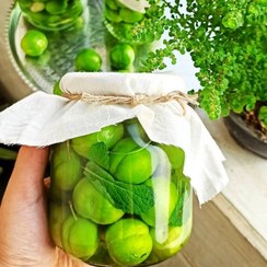 تصویر ترشی آلوچه شمال،ترشی گوجه سبز ترش وتازه،یک کیلویی،گیلان.رشت 