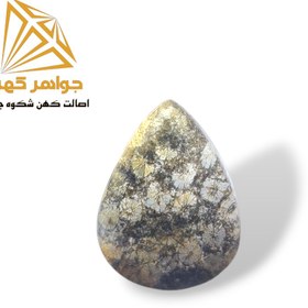 تصویر نگین فسیل مرجان (کد 10) 