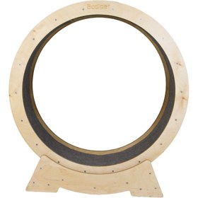 تصویر تردمیل گربه بودیکا 