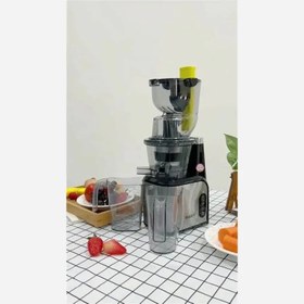 تصویر عصاره گیر مایر مدل 263 