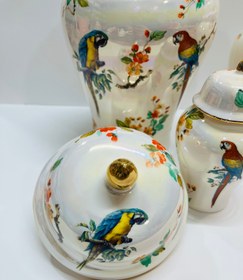 تصویر جینجرجار طوطی صدفی 