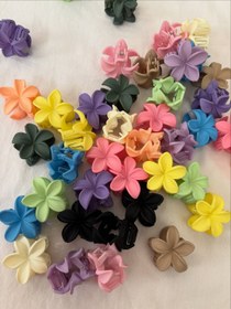 تصویر پلومریا شمعی ۴ سانتی 