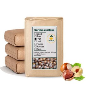 تصویر فندق خام فله 