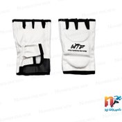 تصویر دستکش تکواندو ایرانی مدل DAIR545 