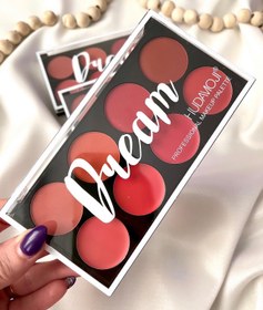 تصویر پالت رژگونه پودری و‌چرب هدی موجی 