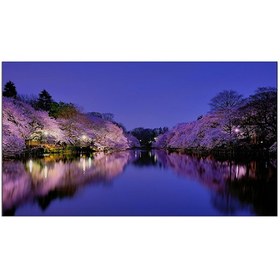 تصویر ویدئو وال پنتوس مدل 55VD355C 