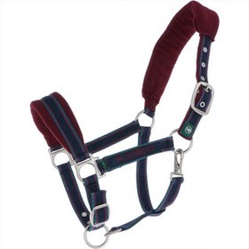 تصویر افسار کله گیر اسب Rambo Halfter Padded Burgund/Petrol/Marine Vollblut 