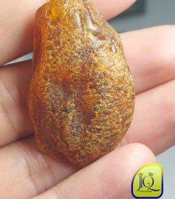 تصویر راف کهربای بالتیک 