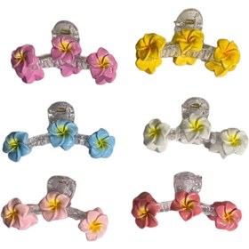 تصویر کلیپس شفاف گل پلومریا 