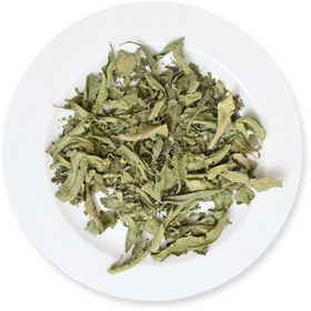 تصویر برگ به لیمو 