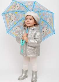 تصویر چتر کرومی ودوستان 