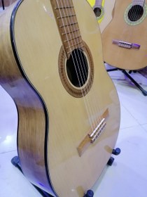 تصویر گیتاربنبرگ مدل 493 Benberg guitar