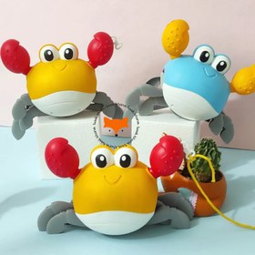 تصویر خرچنگ دوزیست - آبی 