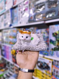 تصویر گربه خوابیده بزرگ موزیکال 