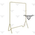 تصویر رگال سیمپل طلایی DR-R53 