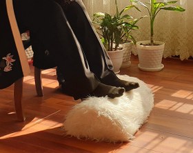 تصویر زیرپایی خانگی خزدار ارگولایف باراد 