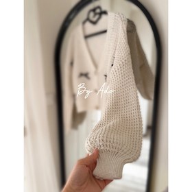 تصویر کاردیگان رها پاپیون 0379 